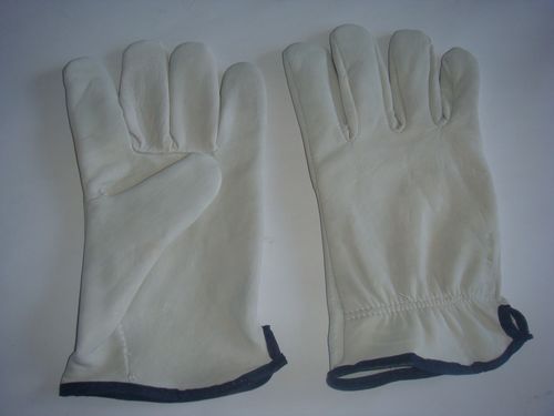 leather driver glove