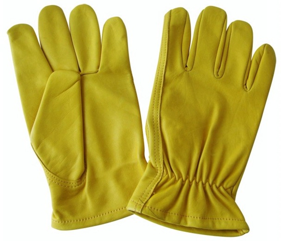 Driver gloves